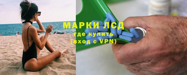 сатива Иннополис