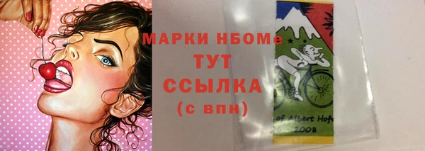 сатива Иннополис