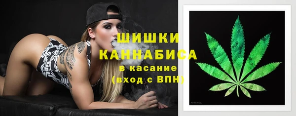 сатива Иннополис