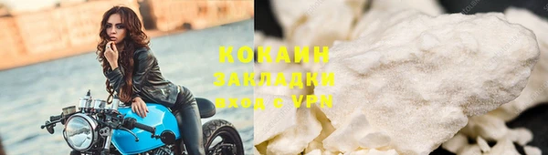 сатива Иннополис