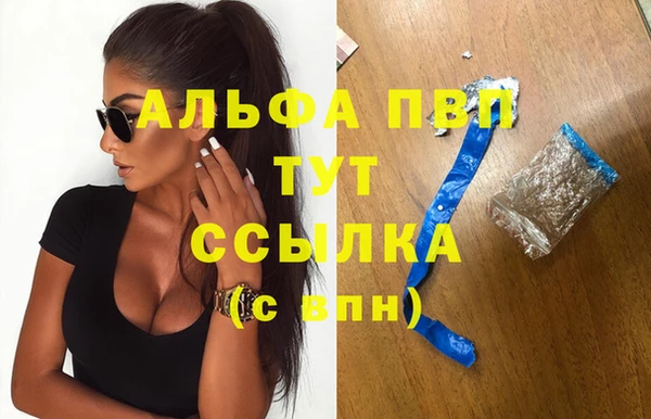 сатива Иннополис