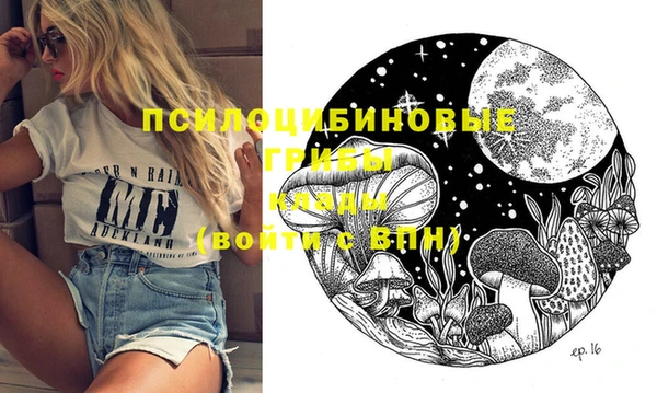 кристаллы Инта