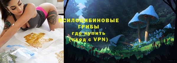 прущие крисы Инсар