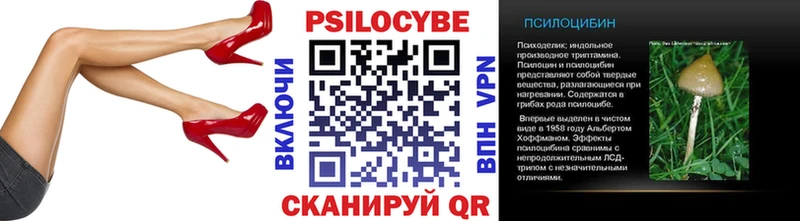 Купить  Черемхово  Галлюциногенные грибы Cubensis 